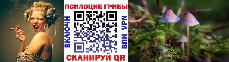 Псилоцибиновые грибы Psilocybine cubensis  Купить где  Спасск 