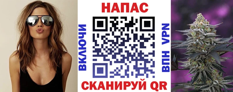 Конопля сатива  Купить где  Спасск 